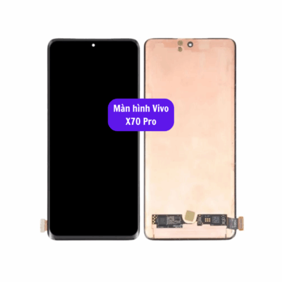 Thay Man Hinh Vivo X70 Pro